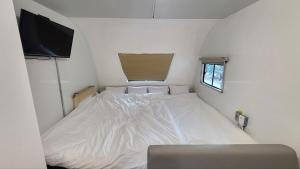 Daegu Round Hill 905