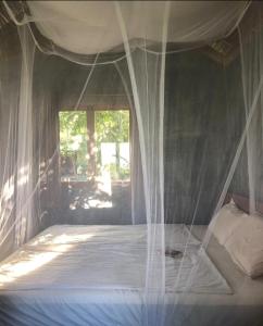 Private house with pool, ocean view and sunset