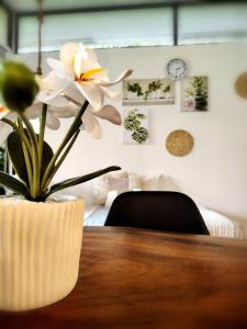 Villa Buenaventura Loft