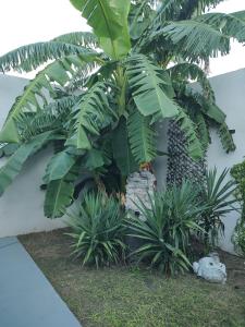 Casa amueblado para estancias largas