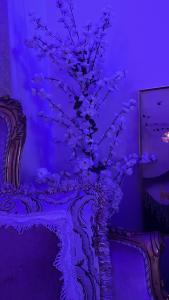 شقة السيف خلف البارك مول