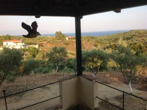 Memicottage Messinia Greece