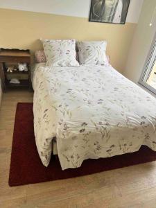 Charming parisian rooftop ! 120m2 for 8 people