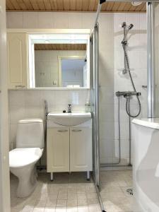 Moonlight 311 Visit Levi