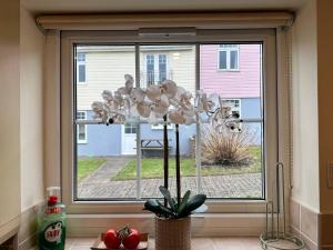 Dog Friendly Holiday Home in Newquay Cornwall