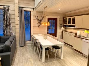 Levinkruunu A Visit Levi