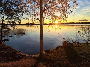 Log cottage by the lake