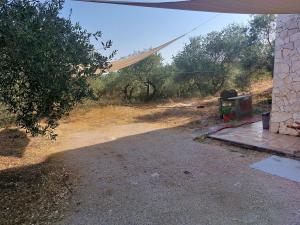 Residence degli ulivi img23