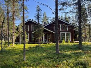 Levinkruunu B Visit Levi