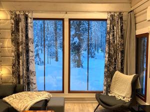 Levinkruunu B Visit Levi