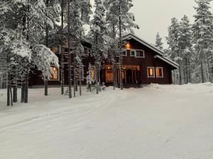 Levinkruunu B Visit Levi