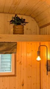 CRASHNSTAY - Mamaloe