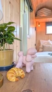 CRASHNSTAY - Mamaloe