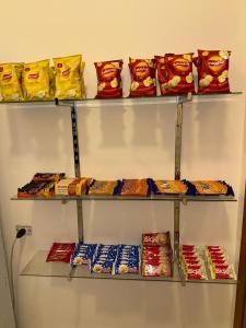 Holiday Dream Of Luxor