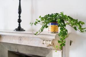 Ghibellina Apartment By San Firenze Collection