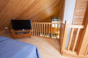 Aste-Levi 5 Visit Levi