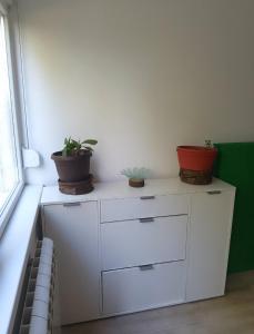 Zen Cherry House- Vikendica na dan sa bazenom1,5ha izmedju Avale i Kosmaja