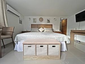 Montybell Studio Ch Ch