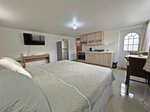 Montybell Studio Ch Ch