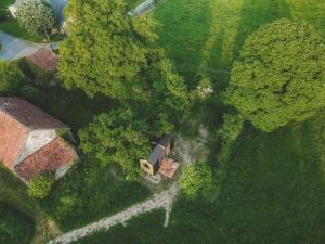 La Voie Romaine 2 by Tiny Away