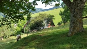 B&B / Chambres d'hotes Le Chat Rouge Chambres d'Hotes de Charme en Alsace : photos des chambres