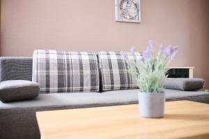 Deichweg 33 Ostseeliebe Kalifornien