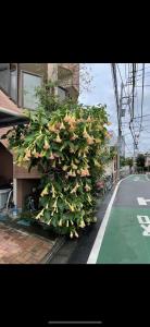 桜の屋25平方大床房Sakura House 25 square meter king size bed room202