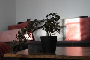 Haus Boddenruh Ferienwohnung Glas