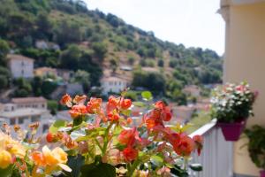 Appartement luxueux entier 3 chambres