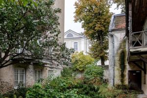 The Old Town Rhapsody by Monto