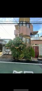 桜の屋25平方大床房Sakura House 25 square meter king size bed room202