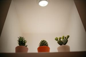 Giulia and Giadas house