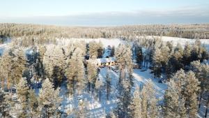 Unique aurora experience