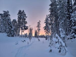 Unique aurora experience