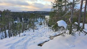 Unique aurora experience