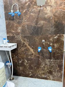 Shri Radha Rani Dham Near by Mathura Junction Railway Station