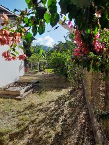 Menus de Boquete 2 Bonita Vista a las Montañas