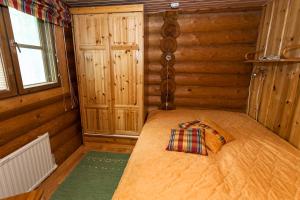 Hegulinkota B Visit Levi