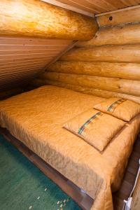 Hegulinkota B Visit Levi