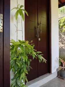 Hiriketiya Nanda Homestay