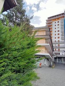 Central Plaza Apartment 40 mq accesso diretto alle piste