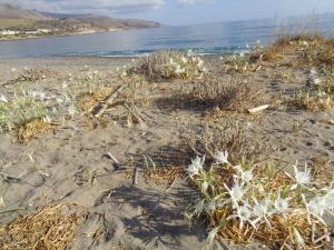 Apartment in natural stone house