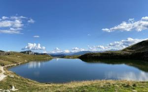 Haus Schartner Aloisia
