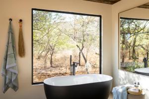 Sasi Bush Lodge- Exclusive Use Luxury Tented Safari Lodge