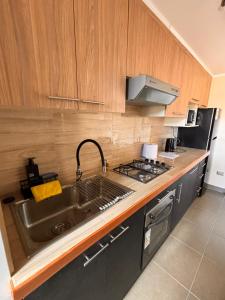 Departamento villarrica para 4 personas