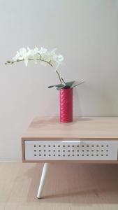 Studio Condo Unit with Balcony Avida IT Park