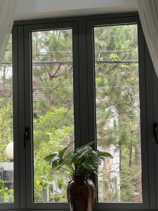 Dốc mộng mơ homestay & villa