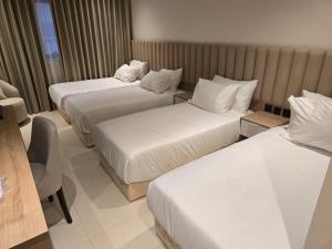 فندق دفلى اثنان