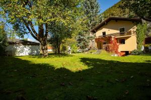 Apartment Silbertanne