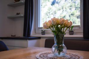 Apartment Silbertanne